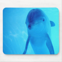 DELPHINIDAE-Dolphin Mouse Pads