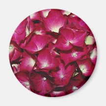 Delphinium  flowers refrigerator magnet