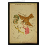 Delphinus, Sagitta, Aquila, and Antinous Cards