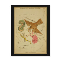 Delphinus, Sagitta, Aquila, and Antinous