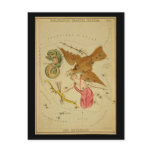 Delphinus, Sagitta, Aquila, and Antinous postcards