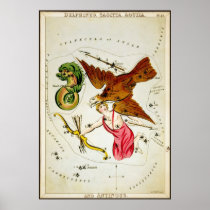 Delphinus, Sagitta, Aquila, and Antinous Poster