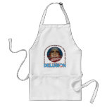 DELUSION aprons