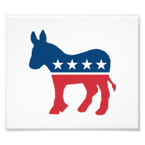 Democratic Donkey Photographic Print