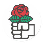 Democratic Socialism (the fist and rose symbol) stickers