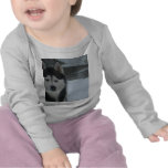 Demon Nija Sybirski Shirts