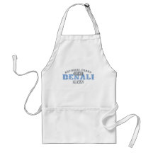 Denali National Park Apron