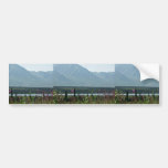 Denali Park Bumper Sticker