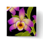 Dendrobium Nobile Orchid Pin buttons
