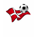 Denmark 2010 soccer football flag and ball t-shirts