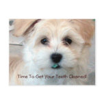 Dental Reminder Postcard