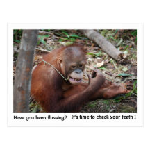 Dentist  Appointment Reminder Post Card