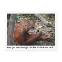 Dentist  Appointment Reminder