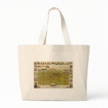 Denver Colorado in 1908 bags