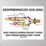 Deoxyribonucleic Acid (DNA) Darwin Mendel Saying Posters