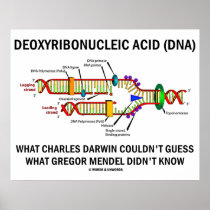 Deoxyribonucleic Acid (DNA) Darwin Mendel Saying