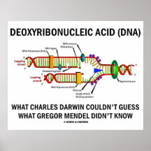 Deoxyribonucleic Acid (DNA) Darwin Mendel Saying Posters