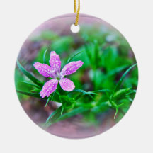 Deptford Pink Wildflower Ornaments