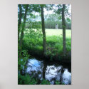 Der Ihle im Fruehling posters