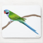 Derbyan Parakeet Mousepad