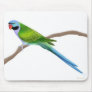 Derbyan Parakeet Mousepad