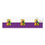 Desamparados, Costa Rica flag bumper stickers