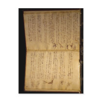 Description Codex flight of the birds Leonardo da