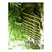 Description Sir Edward James' surrealist garden, L Postcard