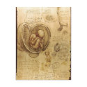 Description Studies of Embryos Leonardo da Vinci ( postcards
