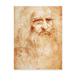 Description Subject : Self-portrait of Leonardo da