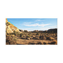 Desert 1 gallery wrapped canvas