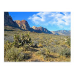 Desert Beauty Post Cards