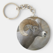 Desert Bighorn Ram Key Chain