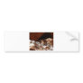 desert bird bumper sticker