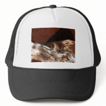 desert bird trucker hat