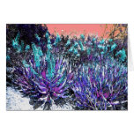 Desert Blooms cards