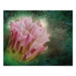 Desert blooms art photo
