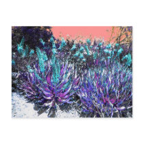 Desert Blooms Post Card