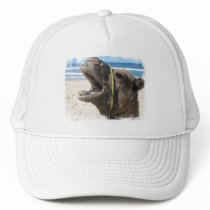 Desert Camel Baseball Hat