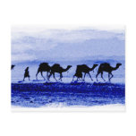 Desert Camel Caravan Blue Postcard
