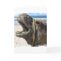 Desert Camel Greeting Card