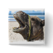Desert Camel Square Pin