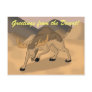 Desert Camoose Postcard
