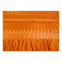 Desert Card