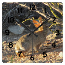 Desert Cottontail Rabbit Clock