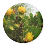 Desert Flower magnets