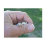 desert gopher snake postcards
