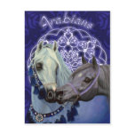 Desert Jewels Arabian horses postcard