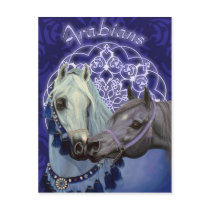 Desert Jewels Arabian horses postcard