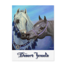 Desert Jewels Arabian horses postcard